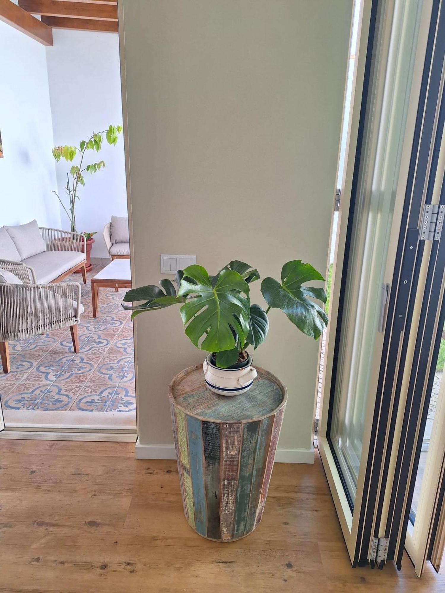 Santa Cruz - B&B Lagos Ngoại thất bức ảnh